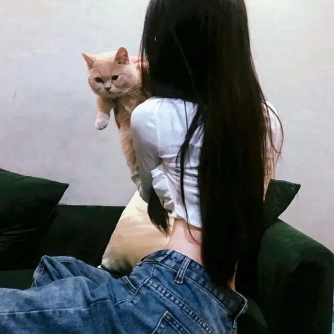 喧闹一家亲第一季