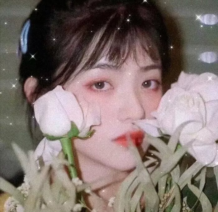 手语的保存
