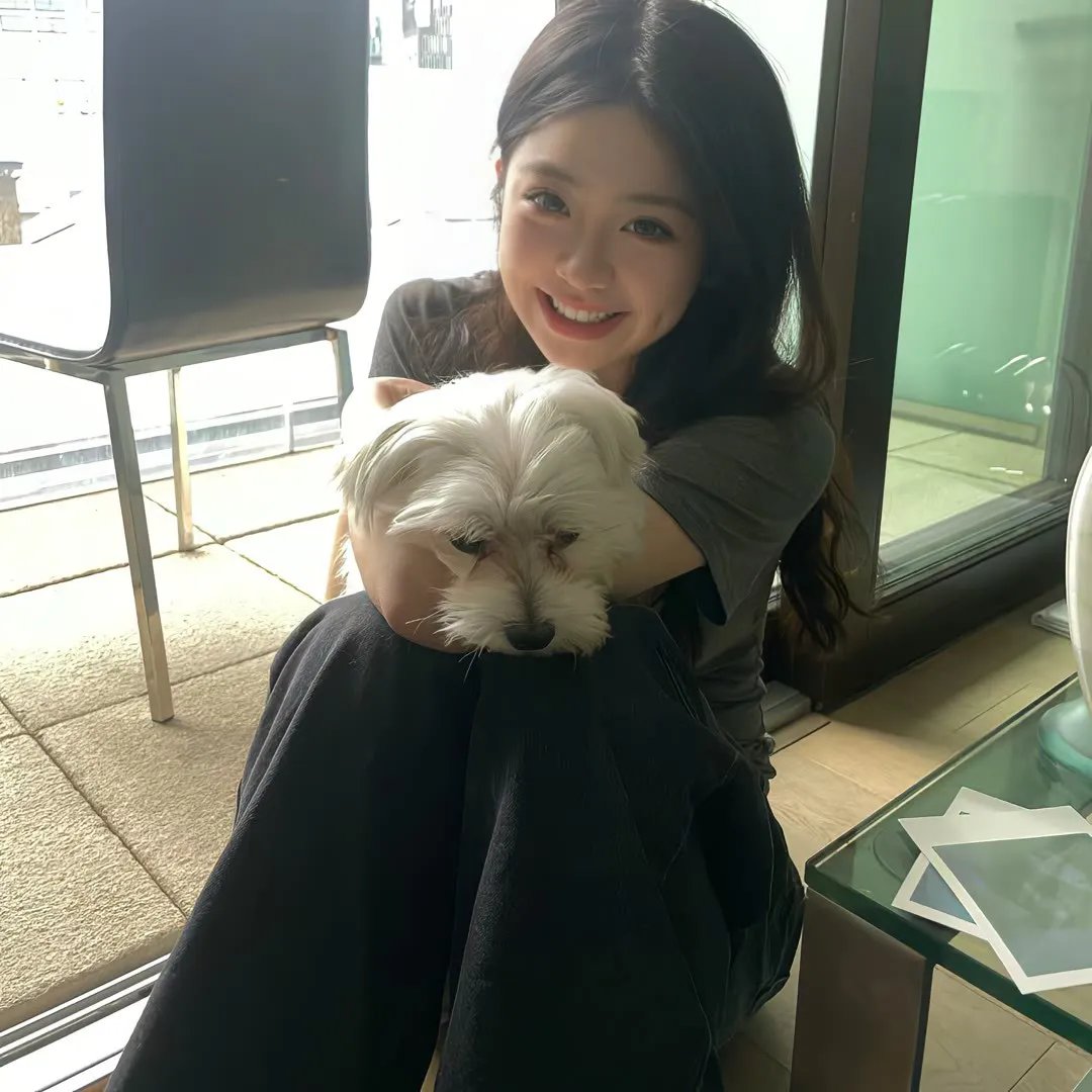 孤雏泪